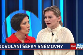 Malá: Pekarová přišla, že volíme jako stádečko podle Babiše. Kytara neohrozila demokracii | CNN Prima News